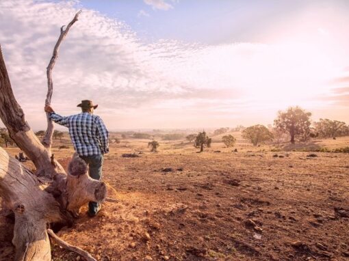 Indigenous Prescribed Body Corporate Strategic Review